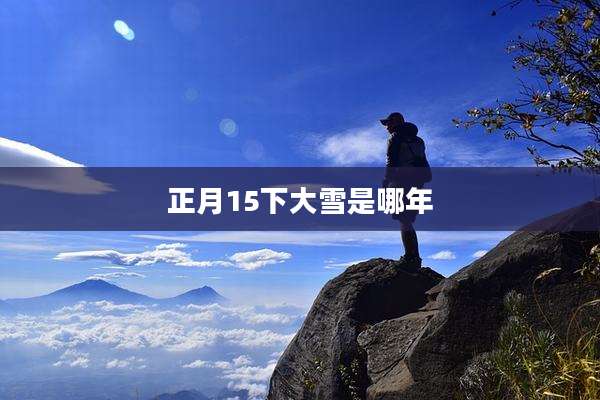 正月15下大雪是哪年