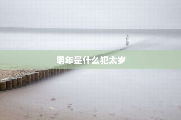 明年是什么犯太岁