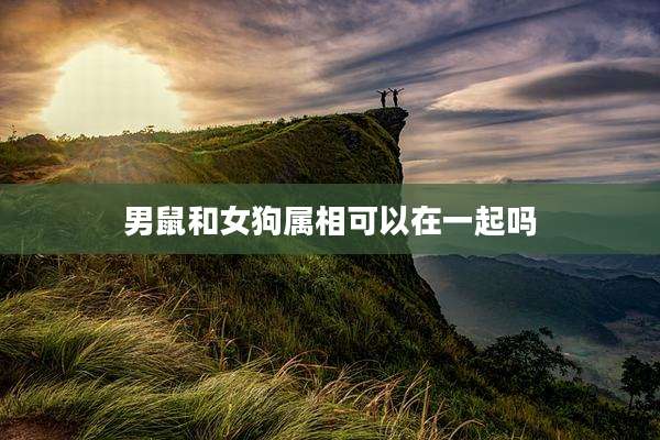 男鼠和女狗属相可以在一起吗