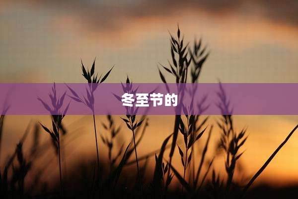 冬至节的