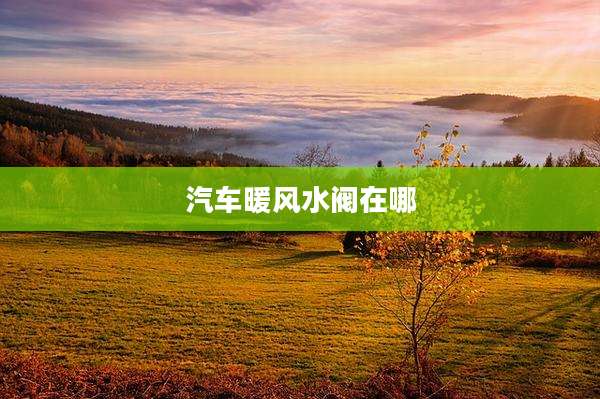 汽车暖风水阀在哪