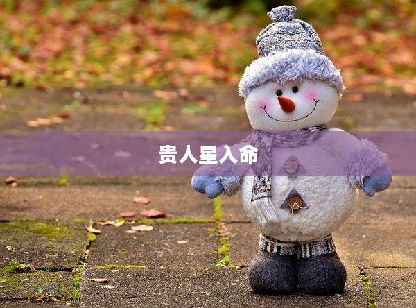 贵人星入命
