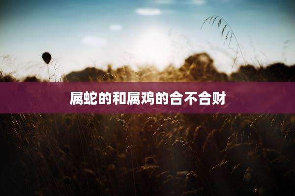 属蛇的和属鸡的合不合财