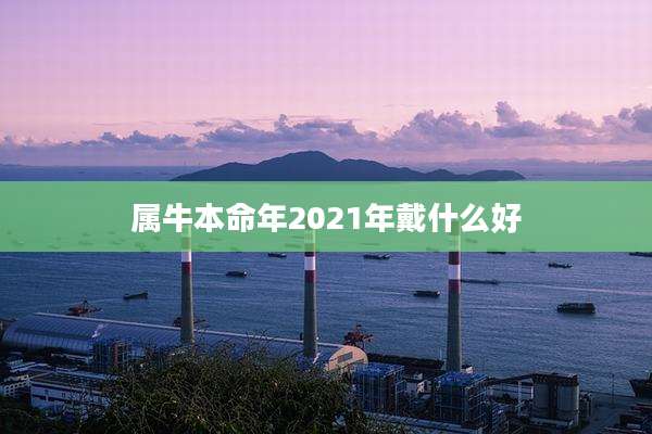 属牛本命年2021年戴什么好