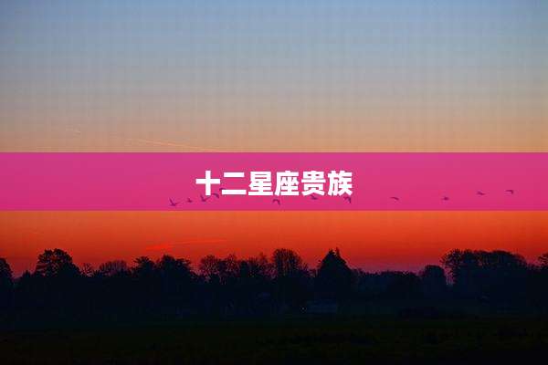 十二星座贵族