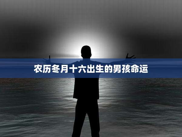 农历冬月十六出生的男孩命运
