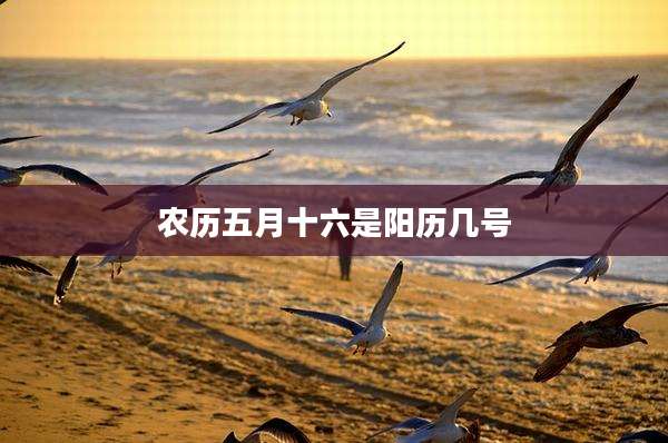 农历五月十六是阳历几号