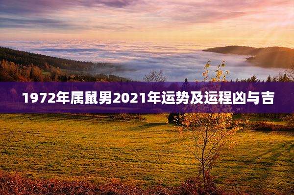 1972年属鼠男2021年运势及运程凶与吉
