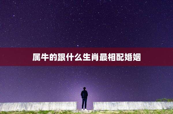 属牛的跟什么生肖最相配婚姻