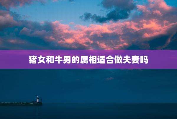 猪女和牛男的属相适合做夫妻吗