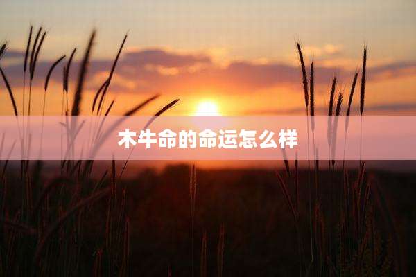 木牛命的命运怎么样