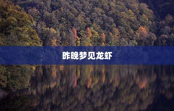 昨晚梦见龙虾