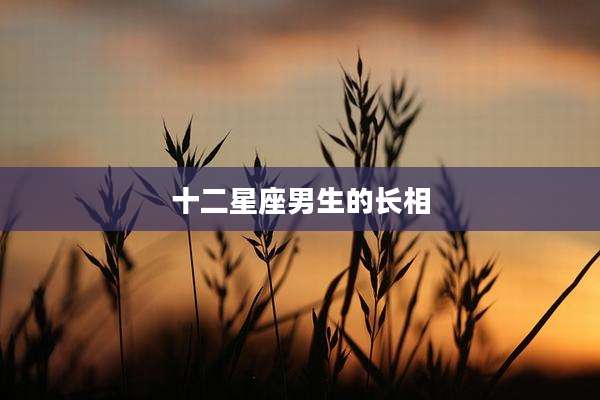 十二星座男生的长相