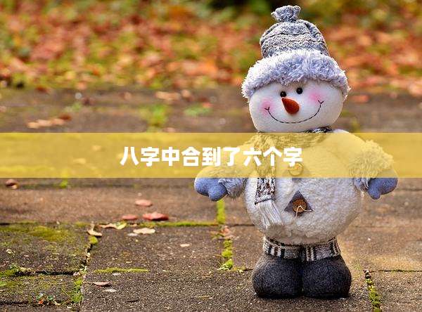 八字中合到了六个字