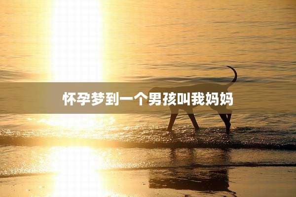 怀孕梦到一个男孩叫我妈妈