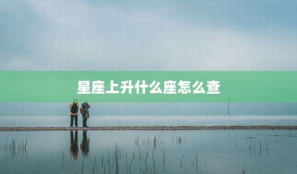星座上升什么座怎么查