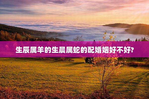 生辰属羊的生晨属蛇的配婚姻好不好?