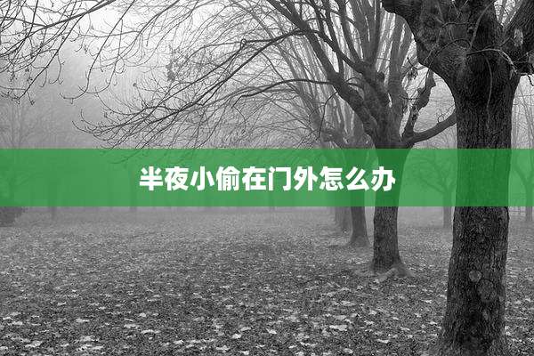 半夜小偷在门外怎么办