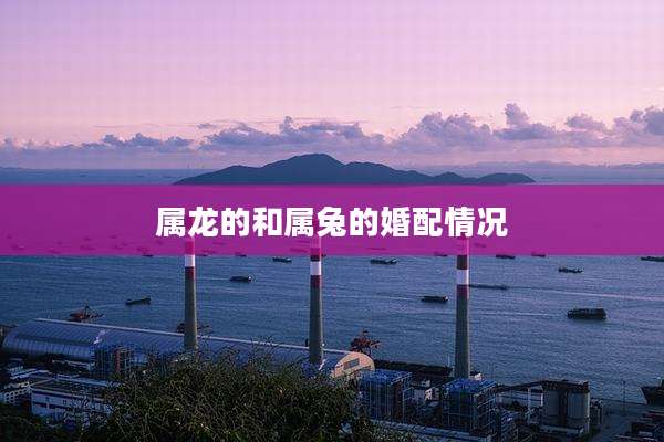 属龙的和属兔的婚配情况