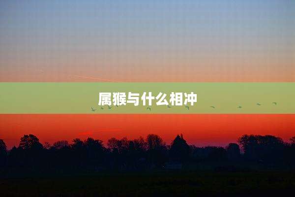 属猴与什么相冲