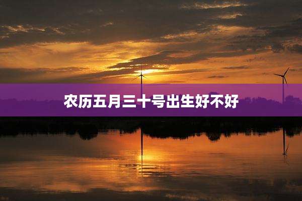 农历五月三十号出生好不好