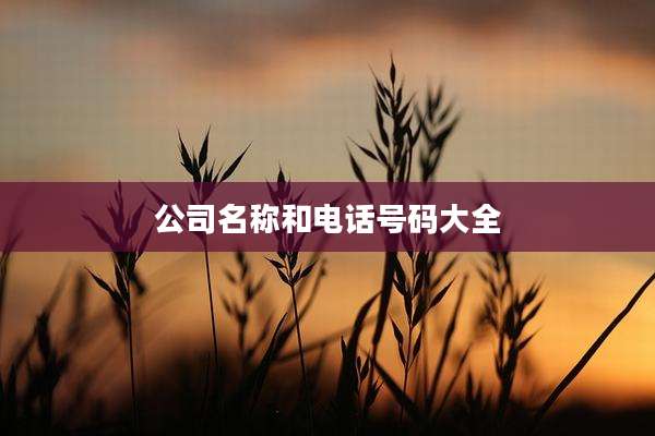 公司名称和电话号码大全