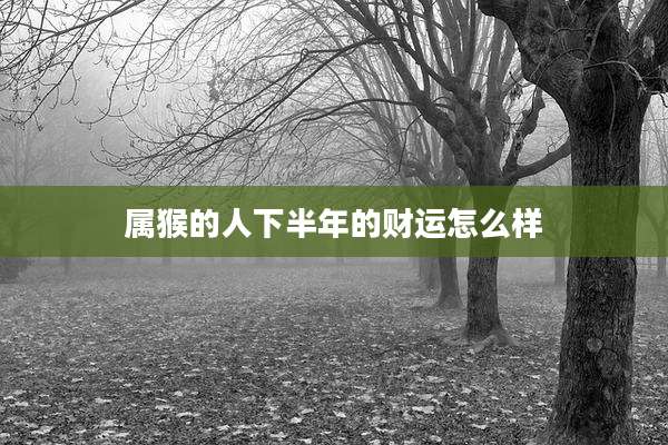 属猴的人下半年的财运怎么样