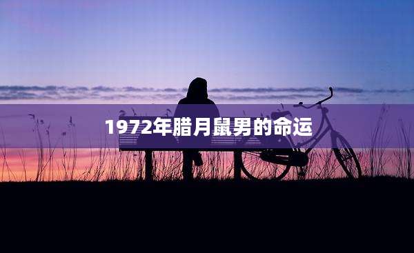 1972年腊月鼠男的命运