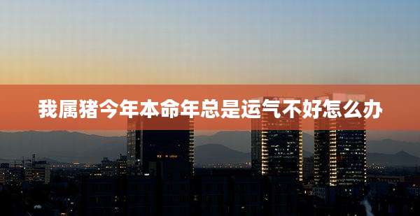 我属猪今年本命年总是运气不好怎么办