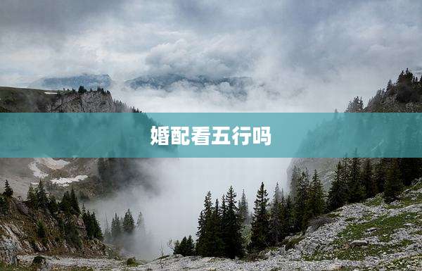 婚配看五行吗
