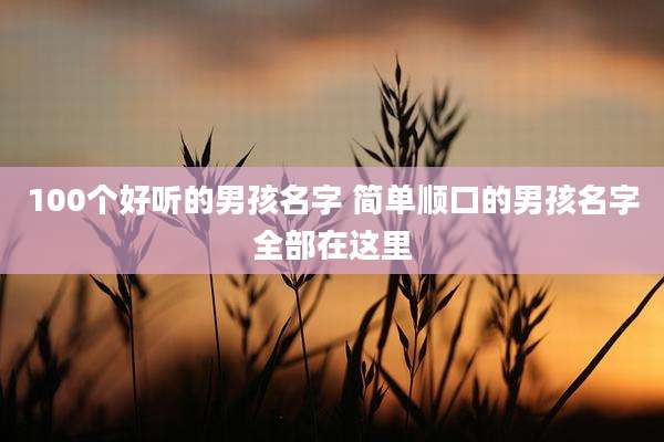 100个好听的男孩名字 简单顺口的男孩名字全部在这里