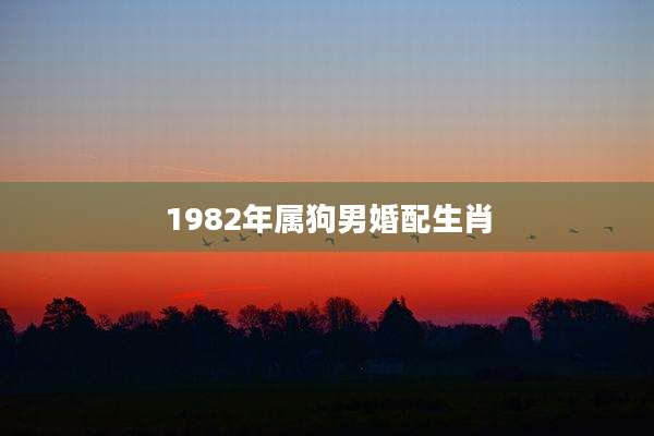 1982年属狗男婚配生肖