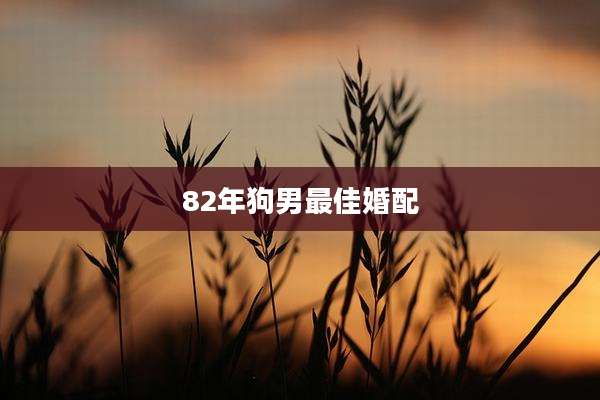 82年狗男最佳婚配