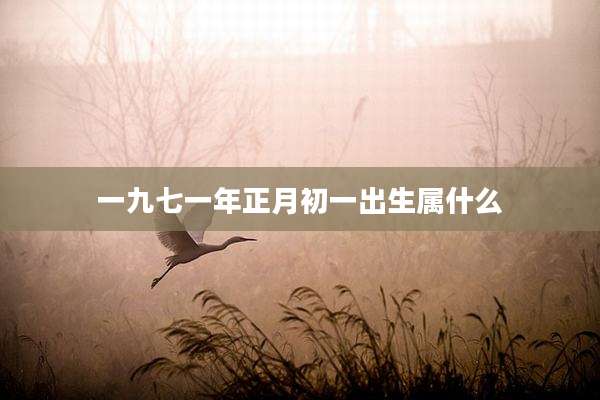 一九七一年正月初一出生属什么