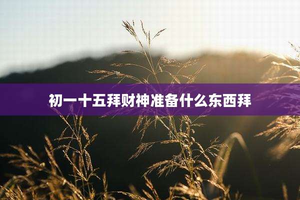初一十五拜财神准备什么东西拜