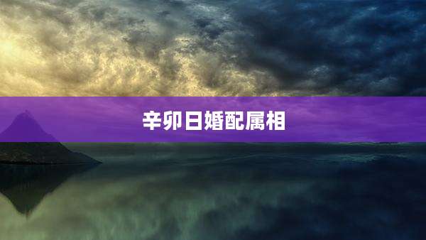 辛卯日婚配属相