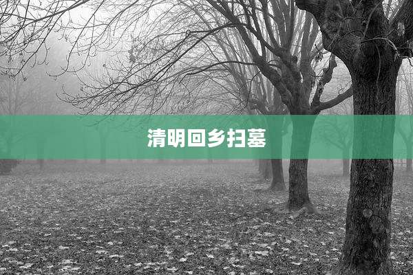 清明回乡扫墓