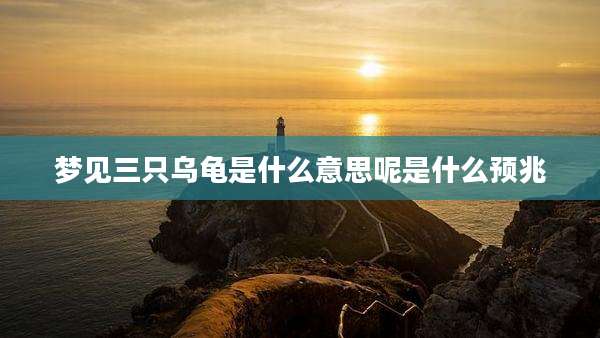 梦见三只乌龟是什么意思呢是什么预兆