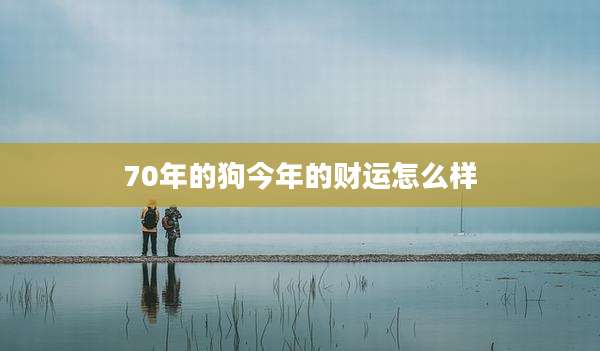 70年的狗今年的财运怎么样