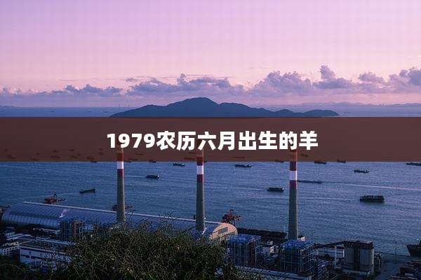 1979农历六月出生的羊
