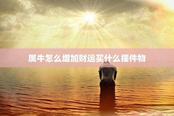 属牛怎么增加财运买什么摆件物