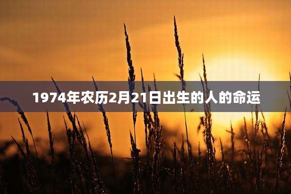 1974年农历2月21日出生的人的命运