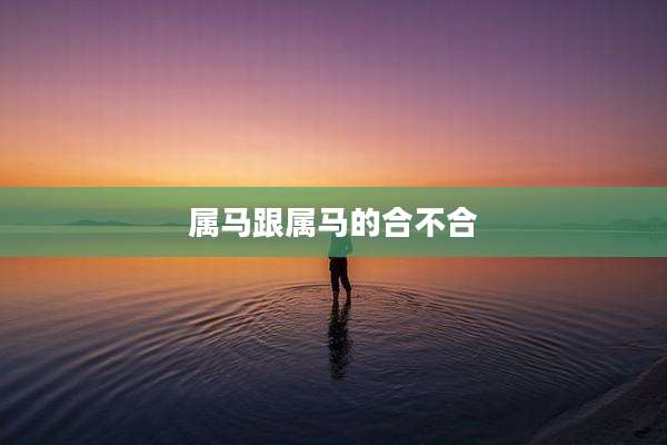 属马跟属马的合不合