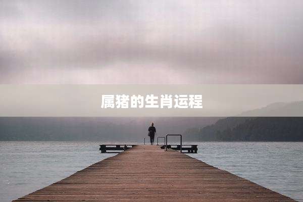 属猪的生肖运程