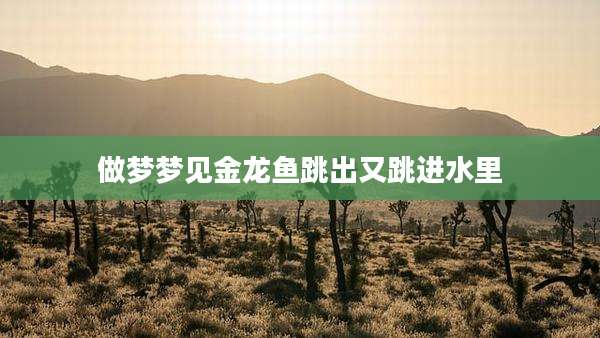 做梦梦见金龙鱼跳出又跳进水里