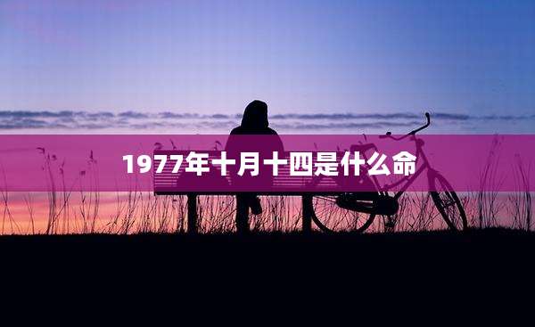 1977年十月十四是什么命