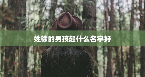 姓徐的男孩起什么名字好