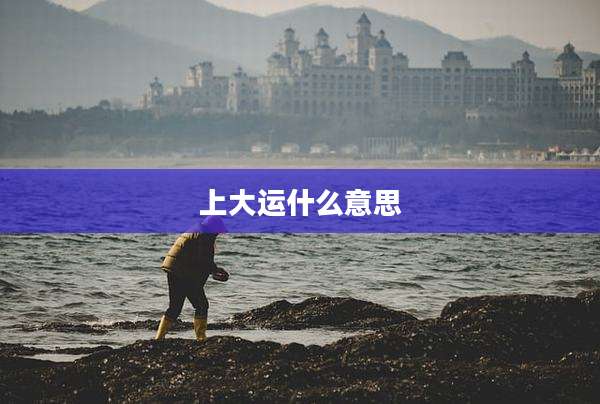 上大运什么意思