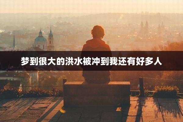 梦到很大的洪水被冲到我还有好多人