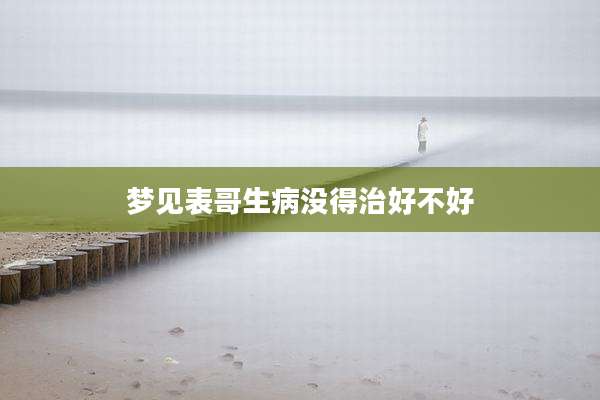 梦见表哥生病没得治好不好
